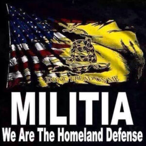 2A - Homeland Militia