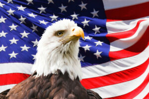 Bald Eagle and a flag